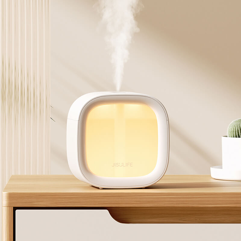 Mini Simple Night Lamp Humidifier